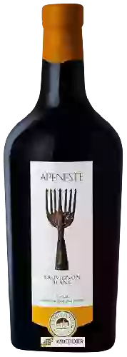 Weingut Terre di San Vito - Apeneste Sauvignon Blanc