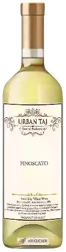 Weingut Urban Taj - Pinoscato