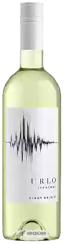 Weingut Urlo - (Scream) Pinot Grigio