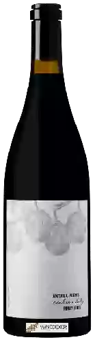Weingut Anthill Farms - Anderson Valley Pinot Noir