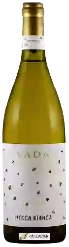 Weingut Vada - Mosca Bianca