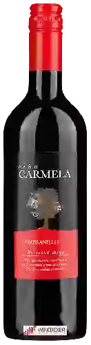 Weingut Viña Carmela