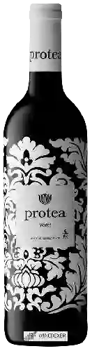 Weingut Protea